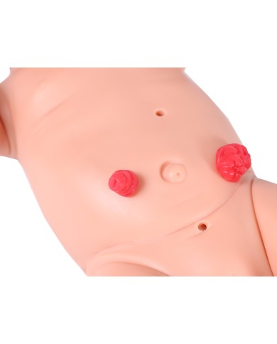 Manichino di neonato maschio per la pratica infermieristica Nick BA185