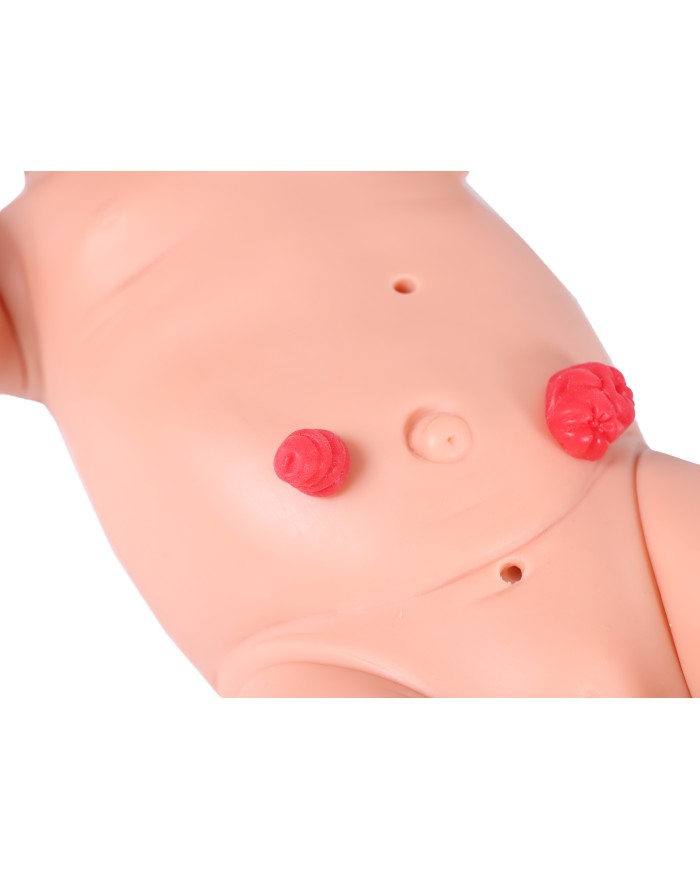 Manichino di neonato maschio per la pratica infermieristica Nick BA185