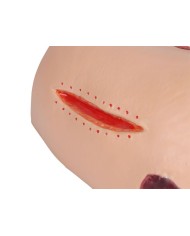 Simulatore di ulcere da decubito EZ 7600