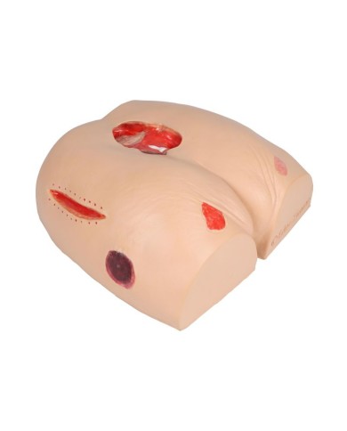 Simulatore di ulcere da decubito EZ 7600