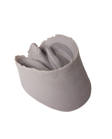 Capsula dello zoccolo di cavallo Erler Zimmer VET4400 1