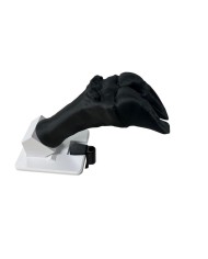 Simulatore di medicazione per artiglio di bestiame Erler Zimmer VET4900