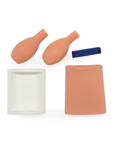 Trainer per la puntura della vescica cistocentesi Erler Zimmer SRE0610