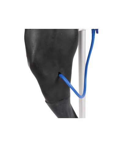 Simulatore di venipuntura e IM Vicky Erler Zimmer VET4680