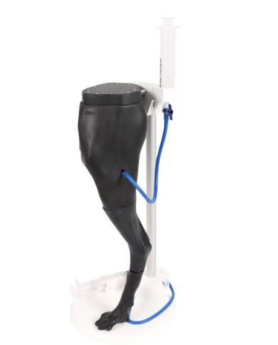 Simulatore di venipuntura e IM Vicky Erler Zimmer VET4680