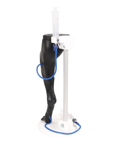 Simulatore di venipuntura e IM Vicky Erler Zimmer VET4680