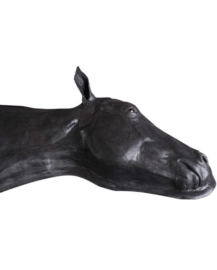 Simulatore di Testa del Cavallo Erler Zimmer SRE0651