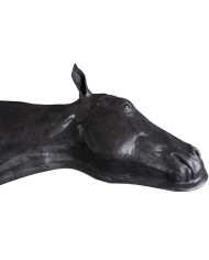 Simulatore di Testa del Cavallo Erler Zimmer SRE0651