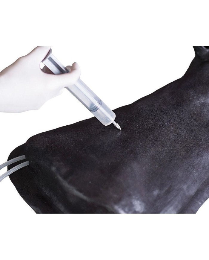 Simulatore di Testa del Cavallo Erler Zimmer SRE0651