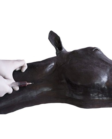 Simulatore di Testa del Cavallo Erler Zimmer SRE0651