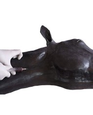 Simulatore di Testa del Cavallo Erler Zimmer SRE0651