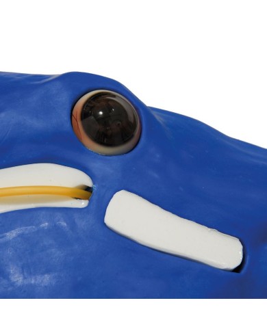 Simulatore di Testa del Cavallo Erler Zimmer SRE0651