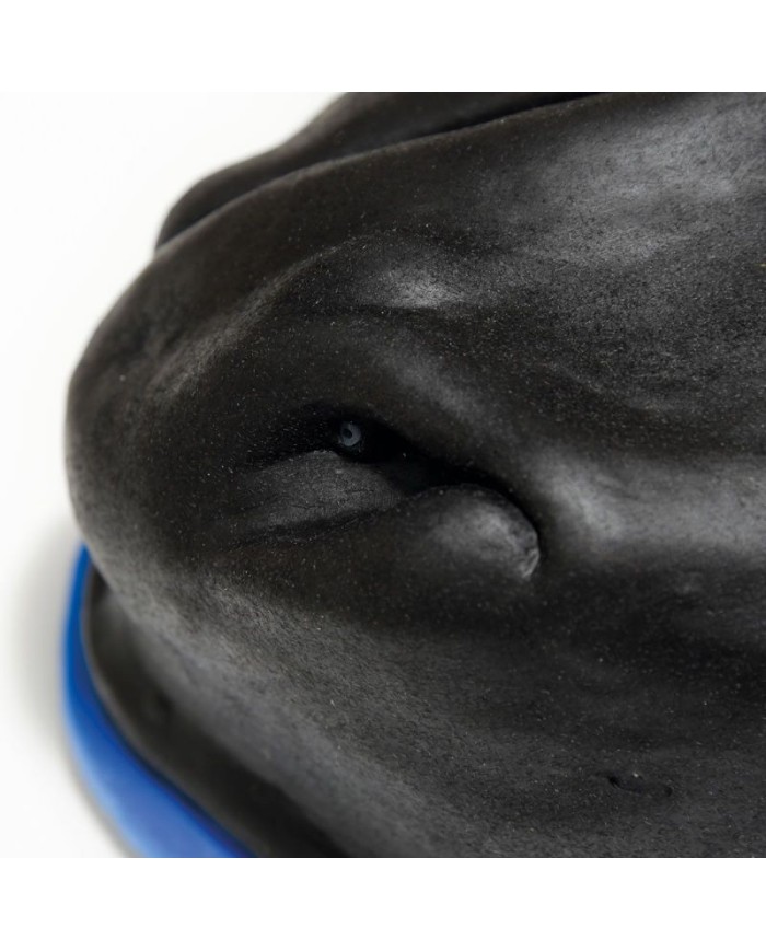 Simulatore di Testa del Cavallo Erler Zimmer SRE0651