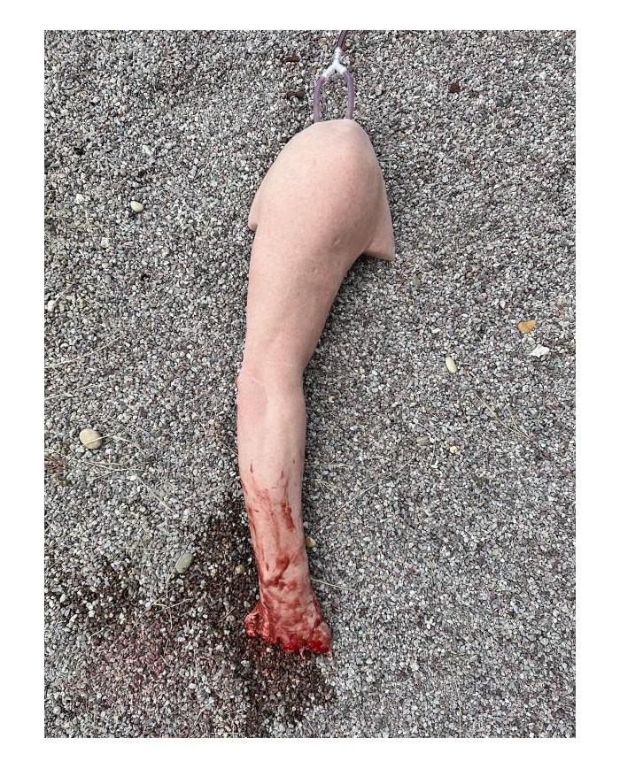 Tourniquet Trainer Simulatore di Braccio sanguinante EZ SE300