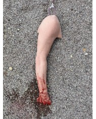 Tourniquet Trainer Simulatore di Braccio sanguinante EZ SE300