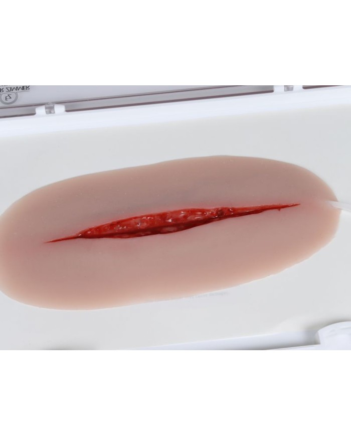 Moulage di Ferita Tentativo di Suicidio EZ NW121 