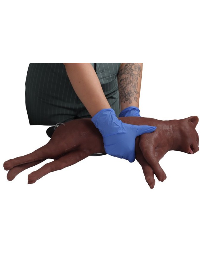 Simulatore di gatto per addestramento CPR CaPPeR Erler Zimmer VET4880