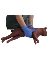 Simulatore di gatto per addestramento CPR CaPPeR Erler Zimmer VET4880