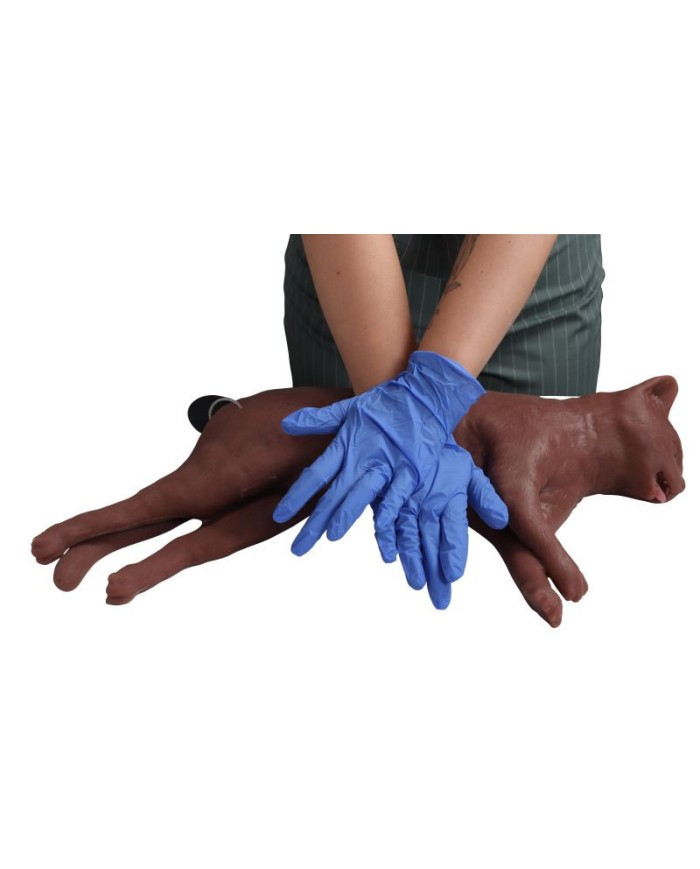 Simulatore di gatto per addestramento CPR CaPPeR Erler Zimmer VET4880