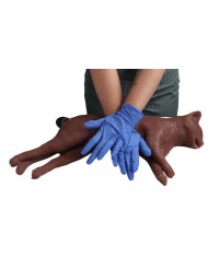 Simulatore di gatto per addestramento CPR CaPPeR Erler Zimmer VET4880