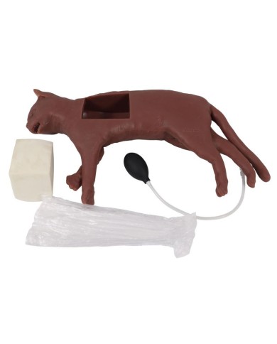 Simulatore di gatto per addestramento CPR CaPPeR Erler Zimmer VET4880