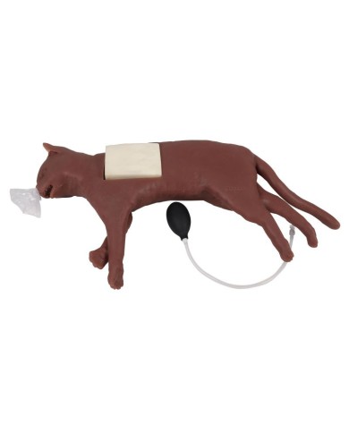 Simulatore di gatto per addestramento CPR CaPPeR Erler Zimmer VET4880