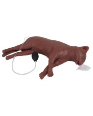 Simulatore di gatto per addestramento CPR CaPPeR Erler Zimmer VET4880