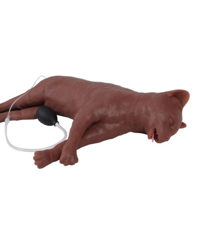 Simulatore di gatto per addestramento CPR CaPPeR Erler Zimmer VET4880