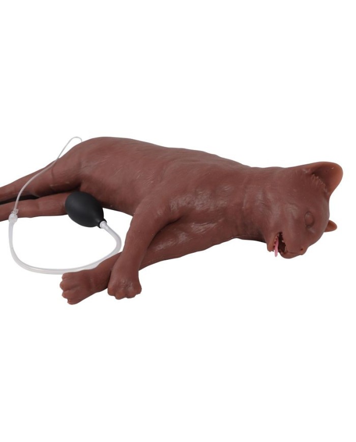 Simulatore di gatto per addestramento CPR CaPPeR Erler Zimmer VET4880