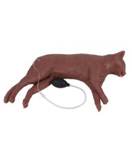 Simulatore di gatto per addestramento CPR CaPPeR Erler Zimmer VET4880