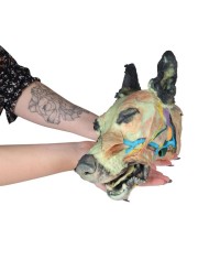 Testa del Cane Dissezioni Superficiali e Profonde VP9000