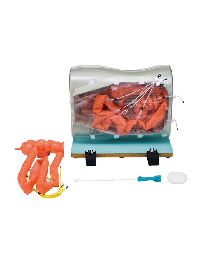 Estensione opzionale intestino tenue versione semi difficile per LM107