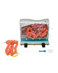 Estensione opzionale intestino tenue versione semi difficile per LM107