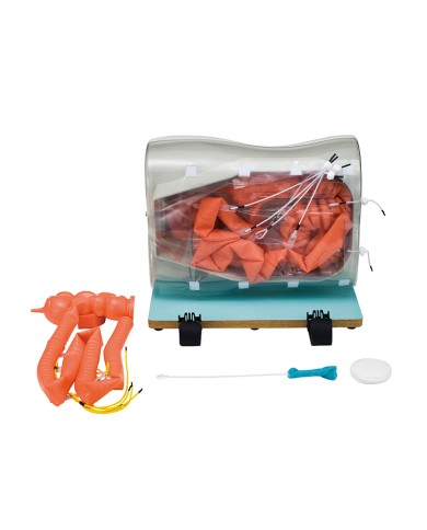 Simulatore di colonscopia Erler Zimmer LM107