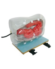 Estensione opzionale intestino tenue per LM107 Erler Zimmer LM107B