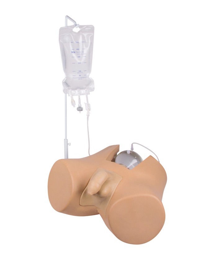 Simulatore di cateterizzazione vescicale maschile Erler Zimmer 7040
