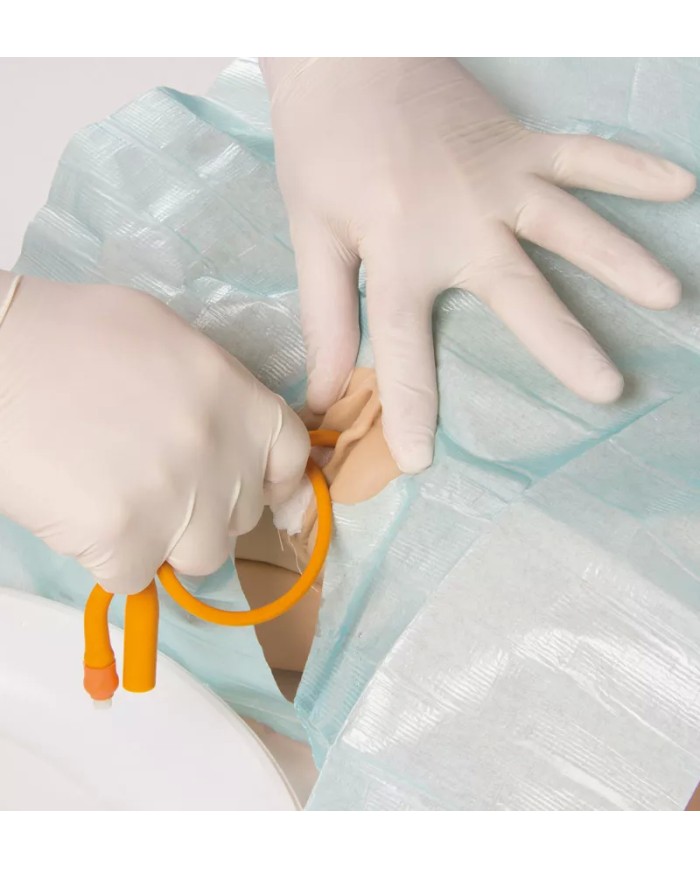 Simulatore di cateterizzazione vescicale maschile e femminile Erler Zimme