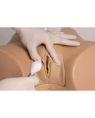 Simulatore di cateterizzazione vescicale maschile e femminile Erler Zimme