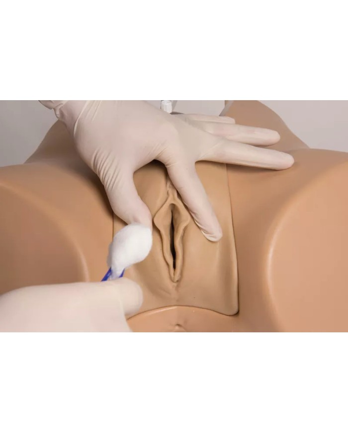 Simulatore di cateterizzazione vescicale maschile e femminile Erler Zimme