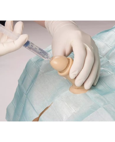 Simulatore di cateterizzazione vescicale maschile e femminile Erler Zimme