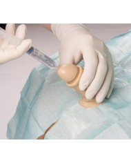 Simulatore di cateterizzazione vescicale maschile e femminile Erler Zimme
