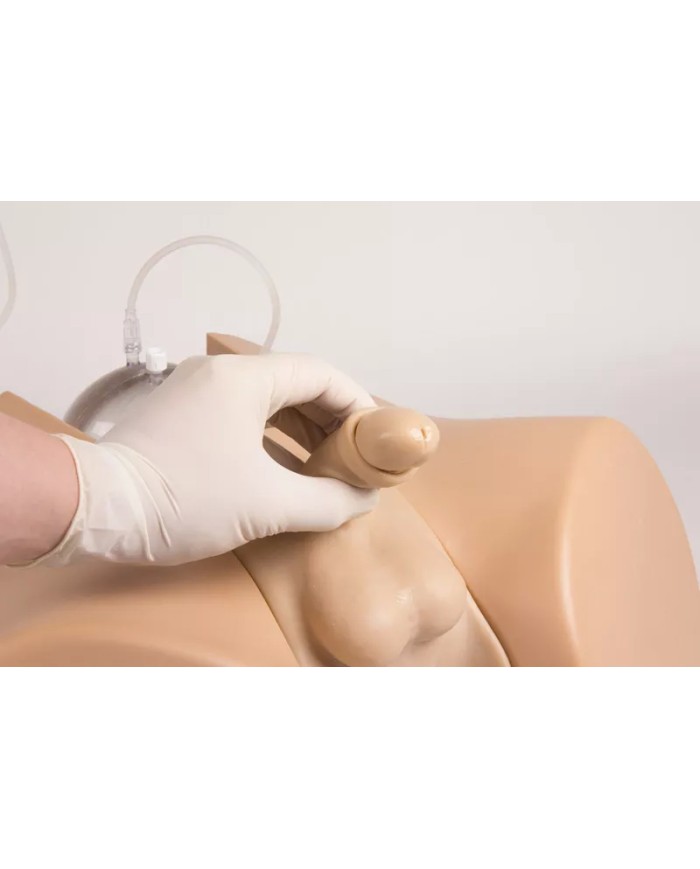 Simulatore di cateterizzazione vescicale maschile e femminile Erler Zimme