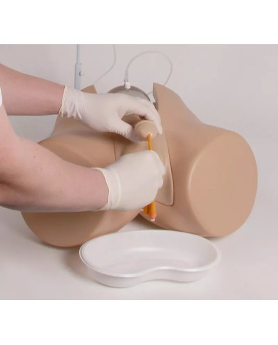 Simulatore di cateterizzazione vescicale maschile e femminile Erler Zimme