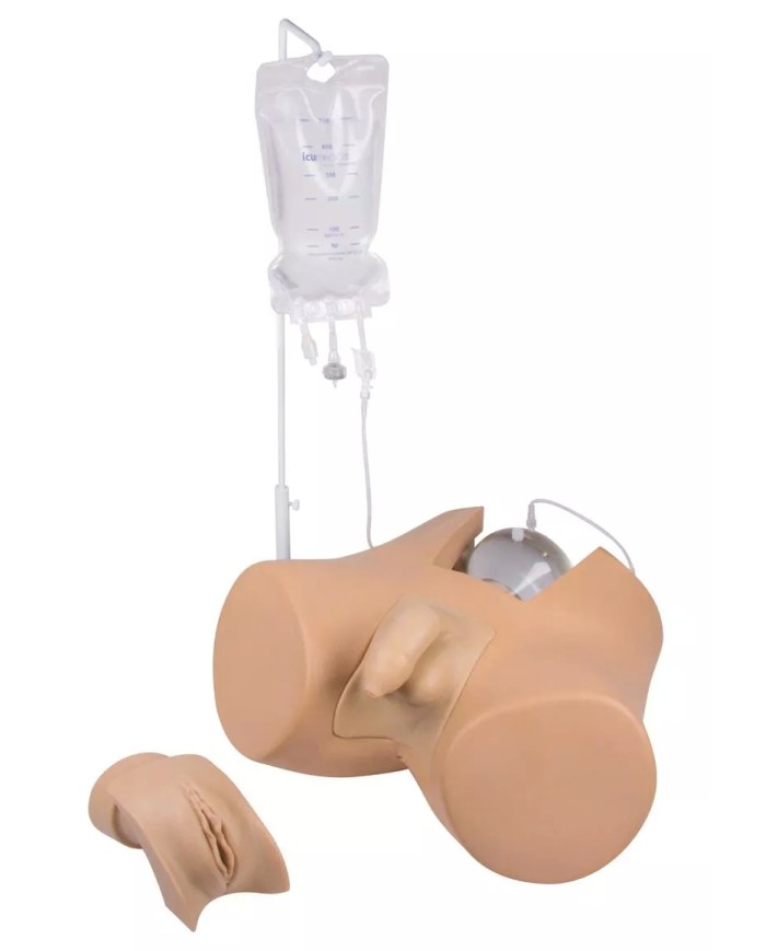 Simulatore di cateterizzazione vescicale maschile e femminile Erler Zimme