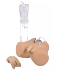 Simulatore di cateterizzazione vescicale maschile e femminile Erler Zimme