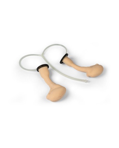 Simulatore chirurgico per castrazione equina Erler Zimmer EZ VET4810