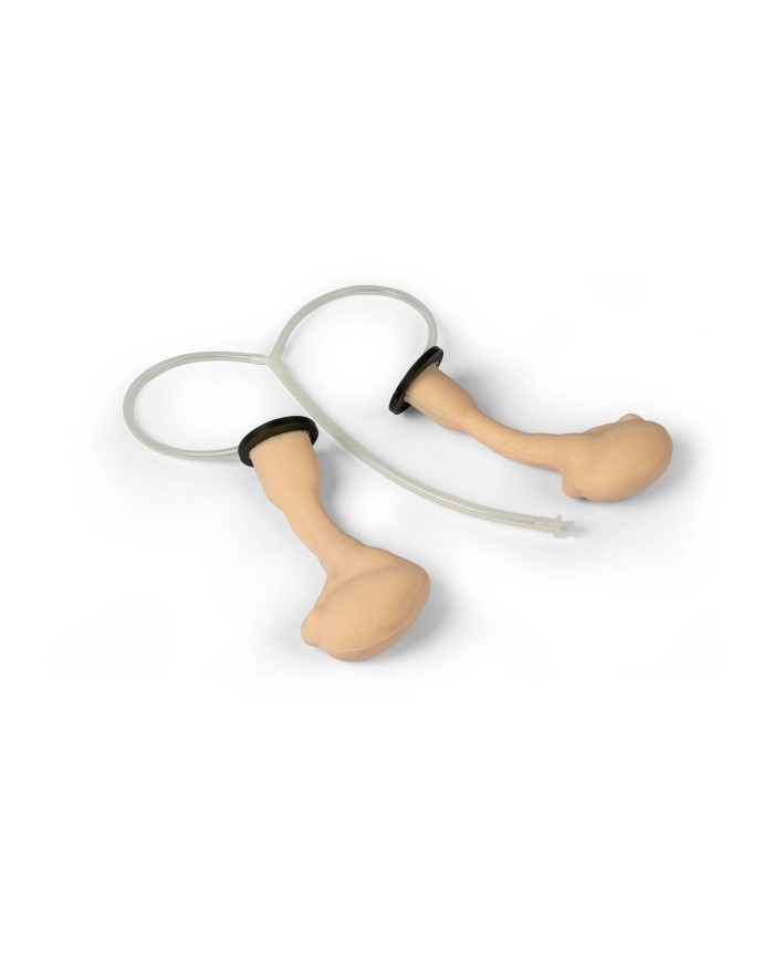 Simulatore chirurgico per castrazione equina Erler Zimmer EZ VET4810