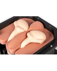 Simulatore chirurgico per castrazione equina Erler Zimmer EZ VET4810