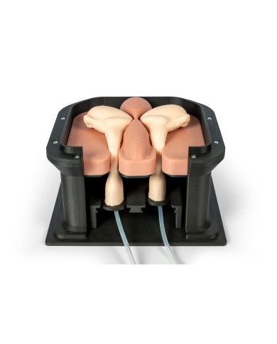 Simulatore chirurgico per castrazione equina Erler Zimmer EZ VET4810