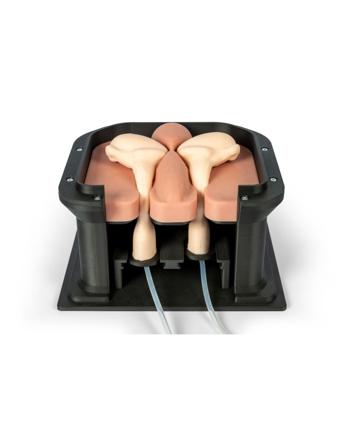 Simulatore chirurgico per castrazione equina Erler Zimmer EZ VET4810